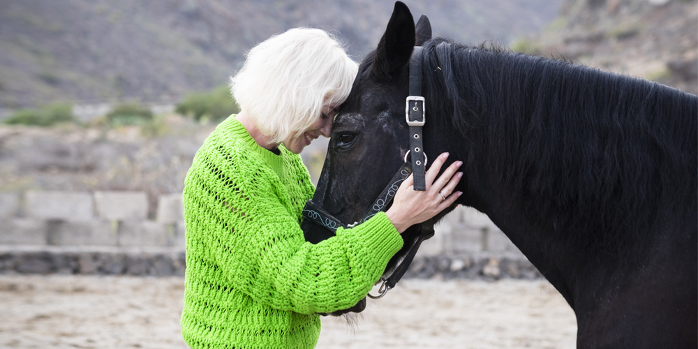 This image portrays Animal-Assisted Therapy by Addiction Poetry.