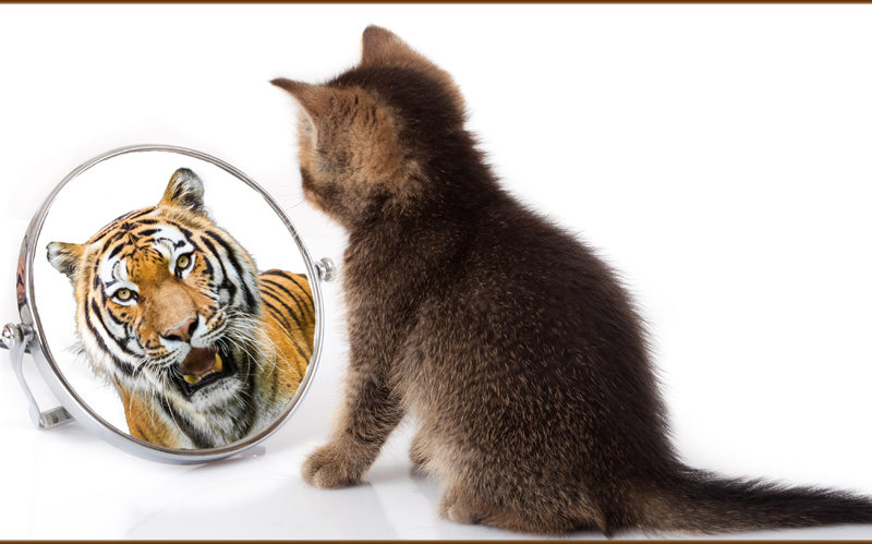 This image is by Addiction Poetry.