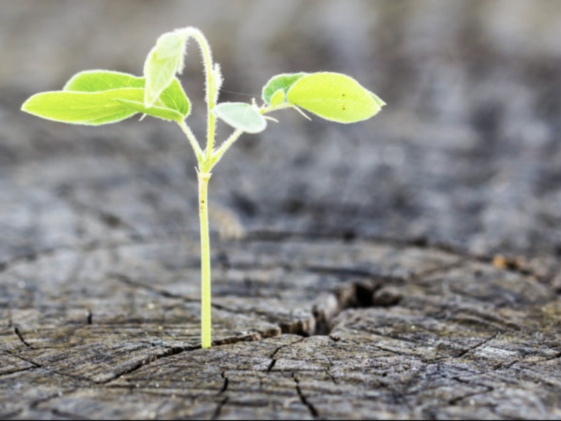 Dark Hope Addiction Poetry